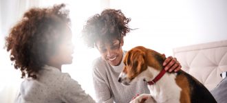 How to Make Your Home Pet-Friendly